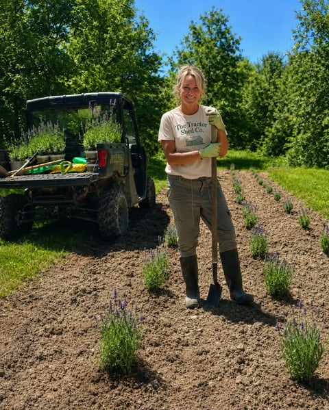 Woman holding a crate in a lavender field with a utility vehicle and green trees in the background